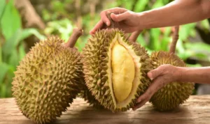 Manfaat Buah Durian