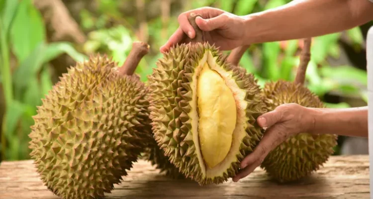 Manfaat Buah Durian