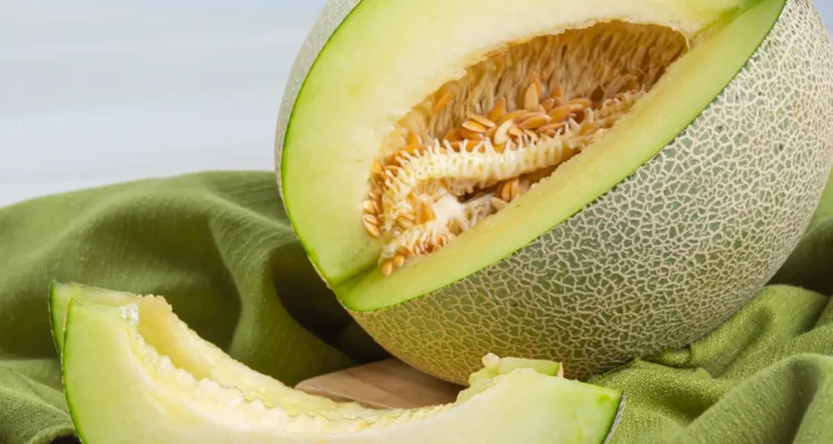 Manfaat Buah Melon bagi Kesehatan