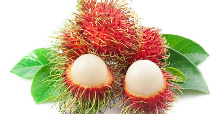 Manfaat Buah Rambutan bagi Kesehatan