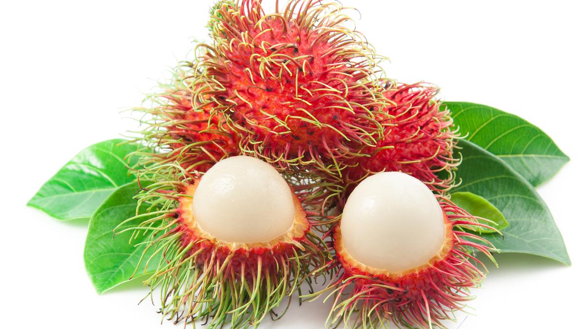 Manfaat Buah Rambutan bagi Kesehatan